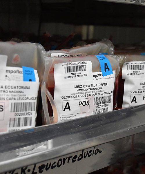 Donación Voluntaria de Sangre | Cruz Roja Ecuatoriana